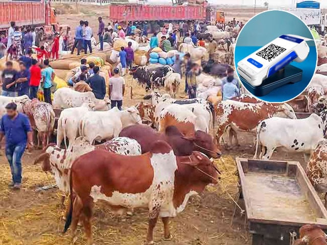 SBP launches ‘Go Cashless’ campaign ahead of Eidul Adha | The Express Tribune