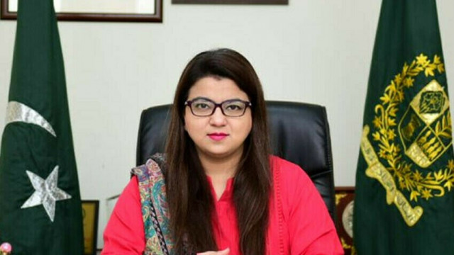 IT minister discusses AI, fibre collaboration | The Express Tribune