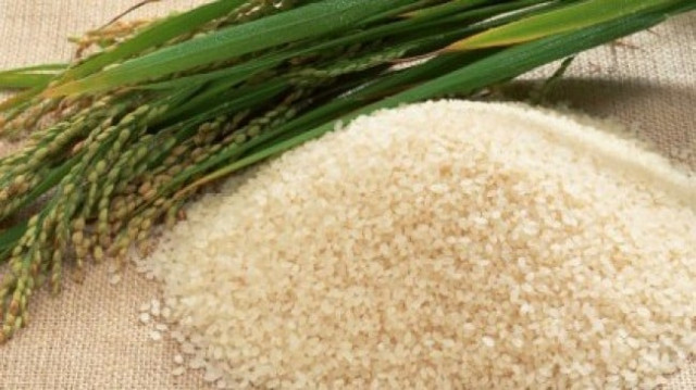 Rice exports to China surge 84% in first half | The Express Tribune