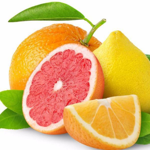 Commerce minister stresses citrus quality enhancement | The Express Tribune