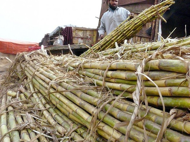 Sugar recovery improves as temperatures fall | The Express Tribune