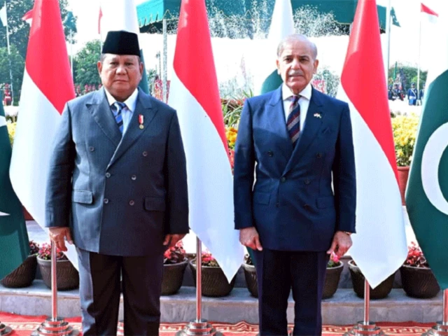 Beyond palm oil, Pak-Indonesia trade entering a new phase | The Express Tribune