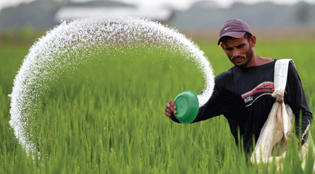 Fertiliser use rises despite flood-hit agriculture | The Express Tribune