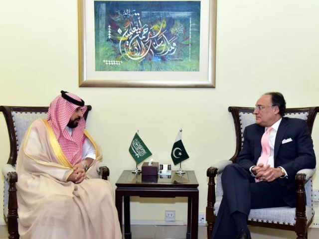 Pakistan, Saudi Arabia discuss investment in agriculture, minerals and mining | The Express Tribune