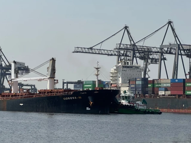 Bulk carrier docks at Karachi port with 51,000 metric tonnes of wheat | The Express Tribune